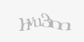Защитный код