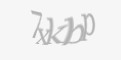 Защитный код