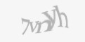 Защитный код