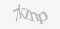 Защитный код