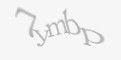 Защитный код