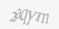 Защитный код