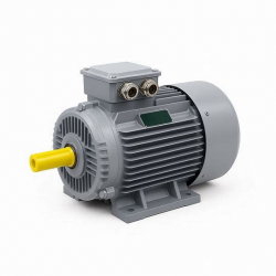 изображение_2026-02-11_205850971