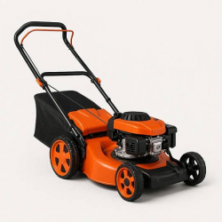 изображение_2026-03-10_202022500