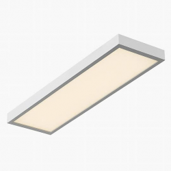 изображение_2026-04-08_214258282