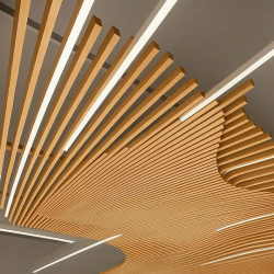 изображение_2026-04-08_222934436